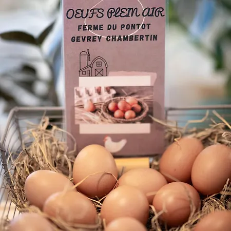 Henry Ii Centre Hotel Beaune (Cote d'Or)