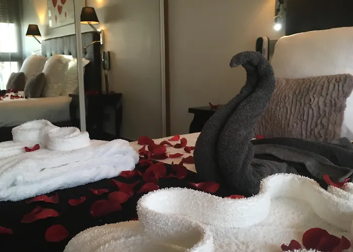 亨利二世宝纳中央酒店 酒店 博讷