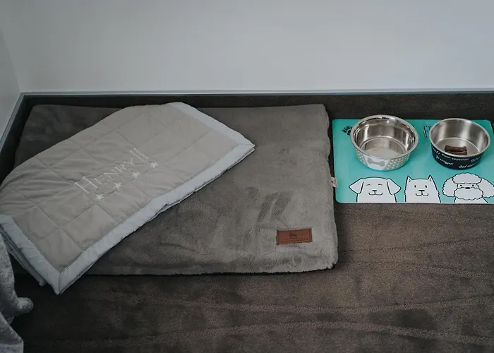 酒店 亨利二世宝纳中央酒店 博讷