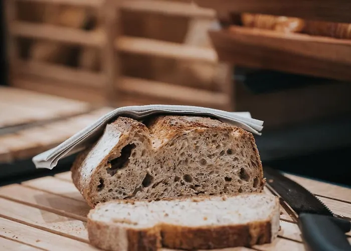 亨利二世宝纳中央酒店 4* 博讷