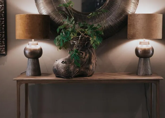 亨利二世宝纳中央酒店 酒店 博讷