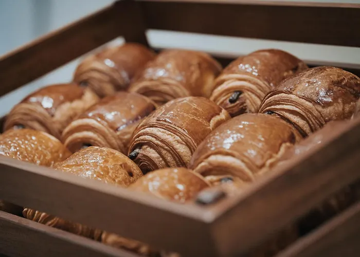 酒店 亨利二世宝纳中央酒店 博讷