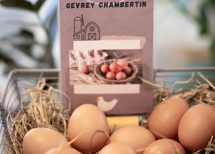 Henry Ii Centre Hotel Beaune (Cote d'Or)